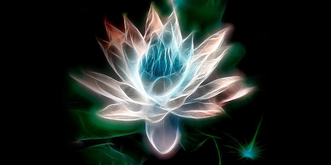 electric lotus